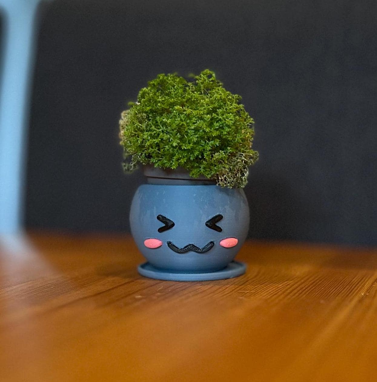 Kawaii 3D Printed Planters Set β Cute Smiling Succulent Pots in 3 Sizes
