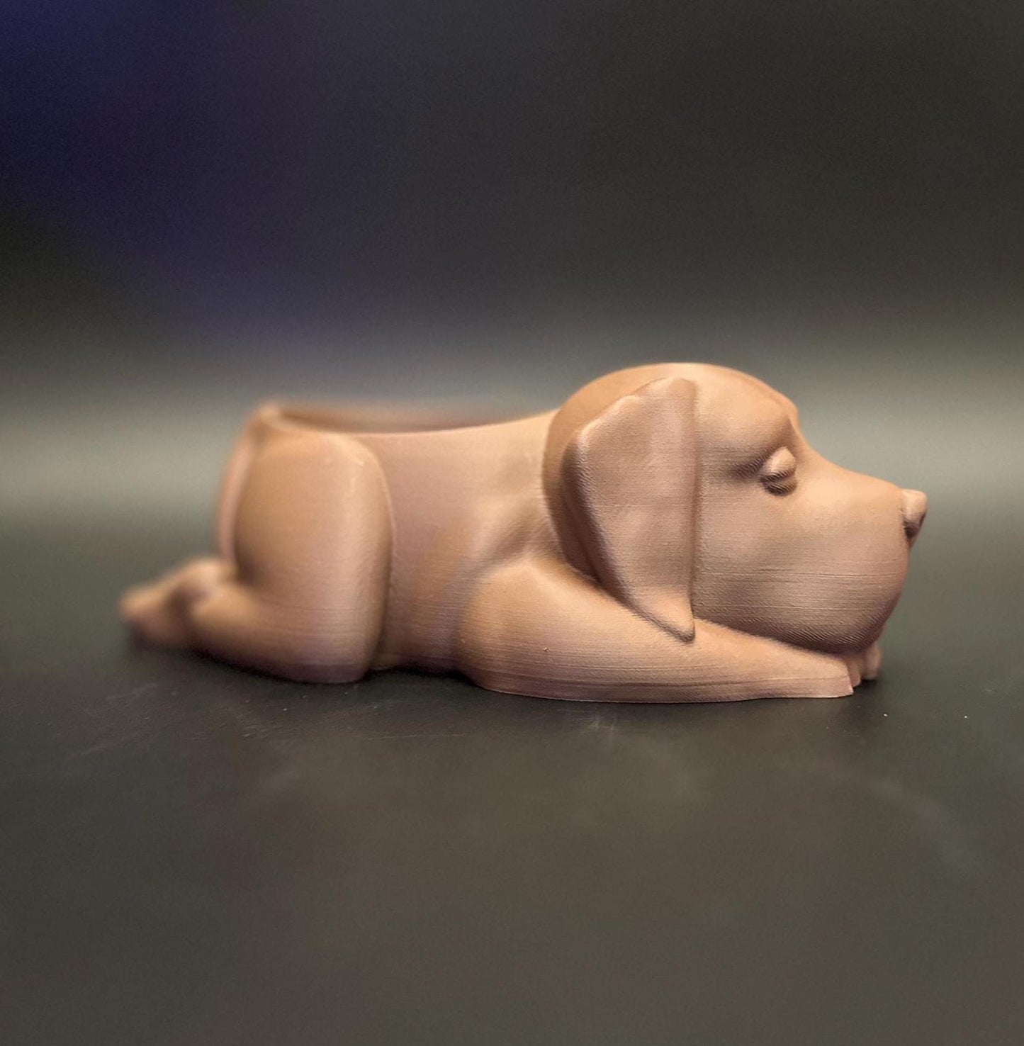 Charming chocolate Labrador planter for succulents, highlighting adorable dog-inspired details and warm tones.