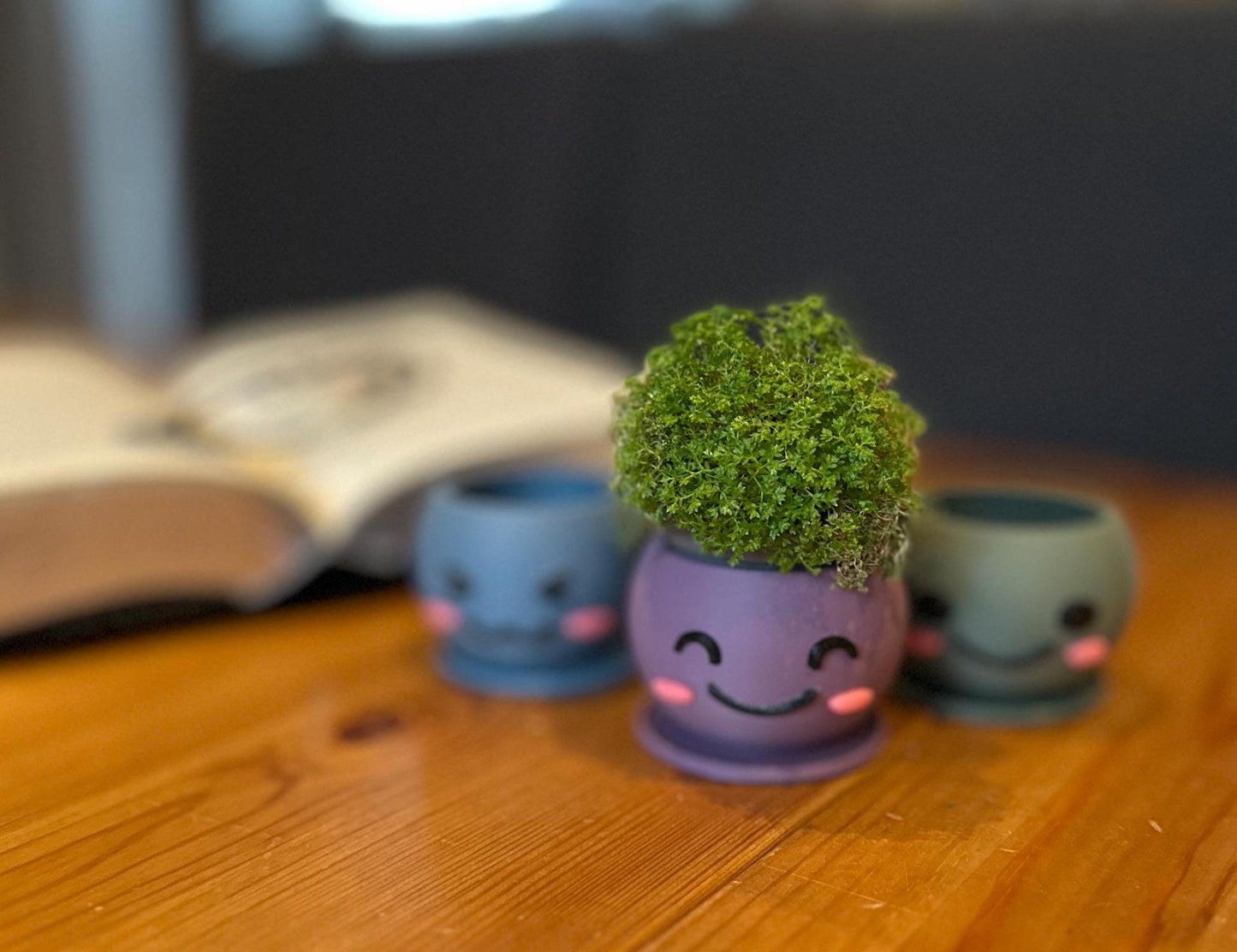 Kawaii 3D Printed Planters Set β Cute Smiling Succulent Pots in 3 Sizes