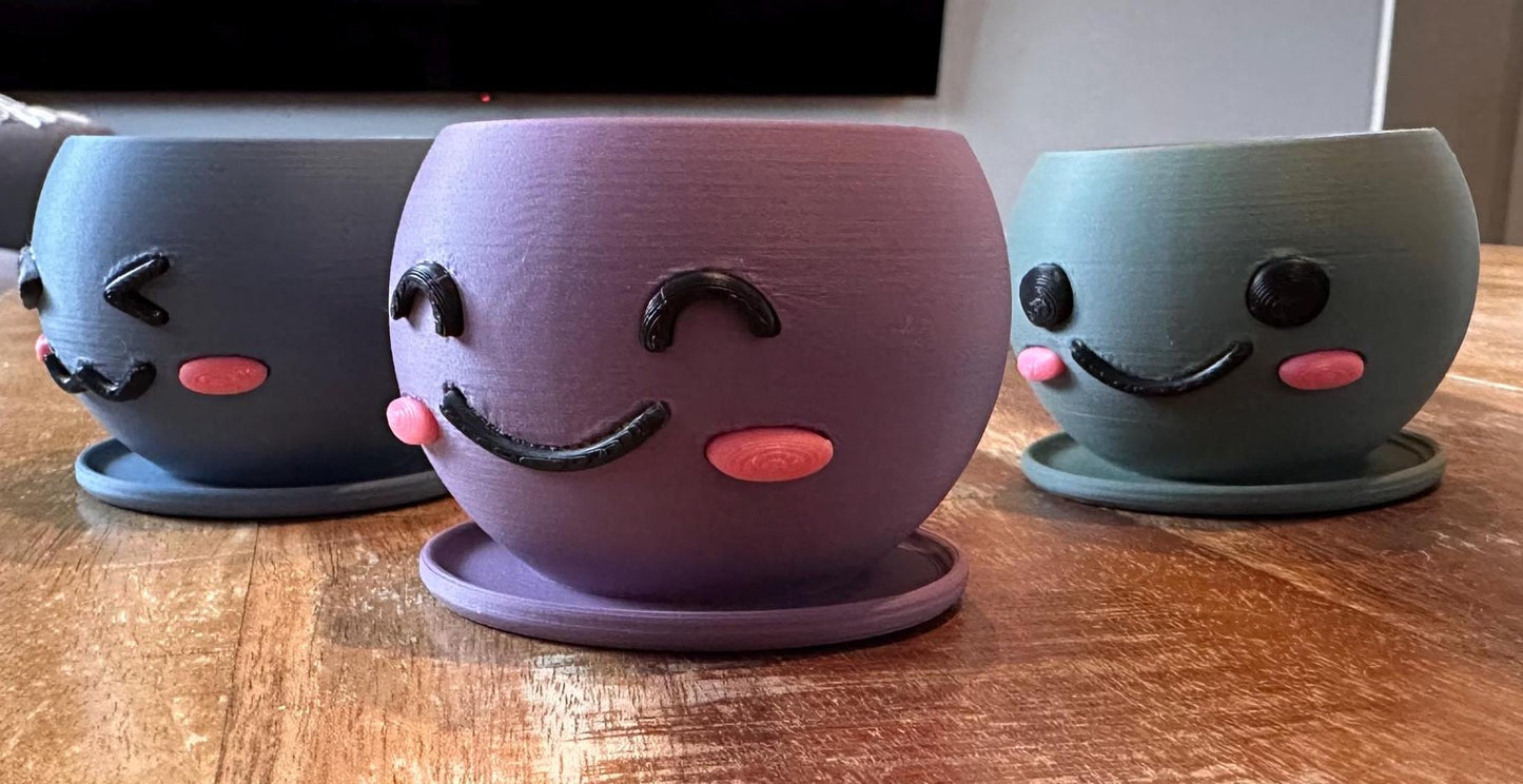 Kawaii 3D Printed Planters Set β Cute Smiling Succulent Pots in 3 Sizes