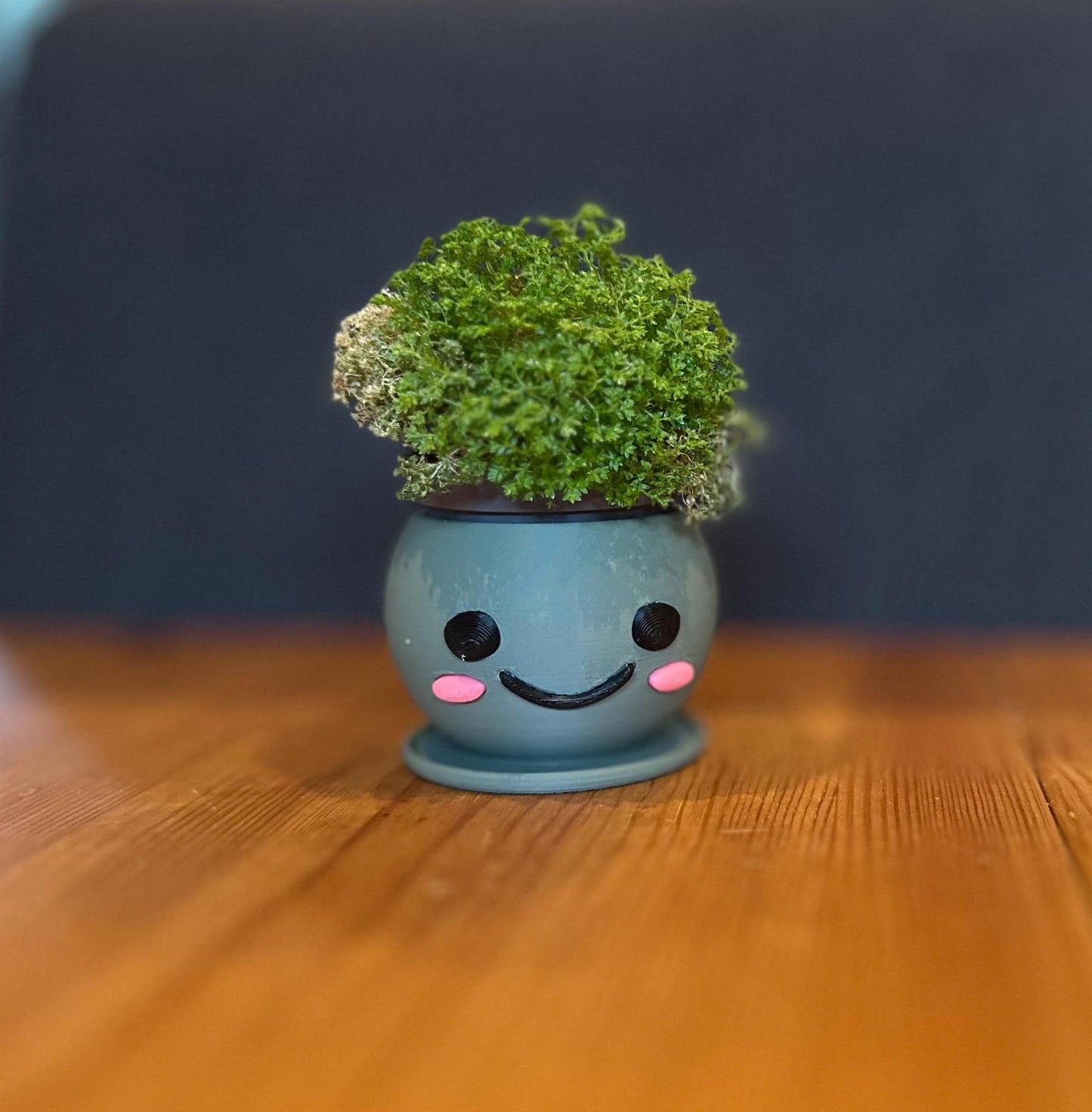 Kawaii 3D Printed Planters Set β Cute Smiling Succulent Pots in 3 Sizes