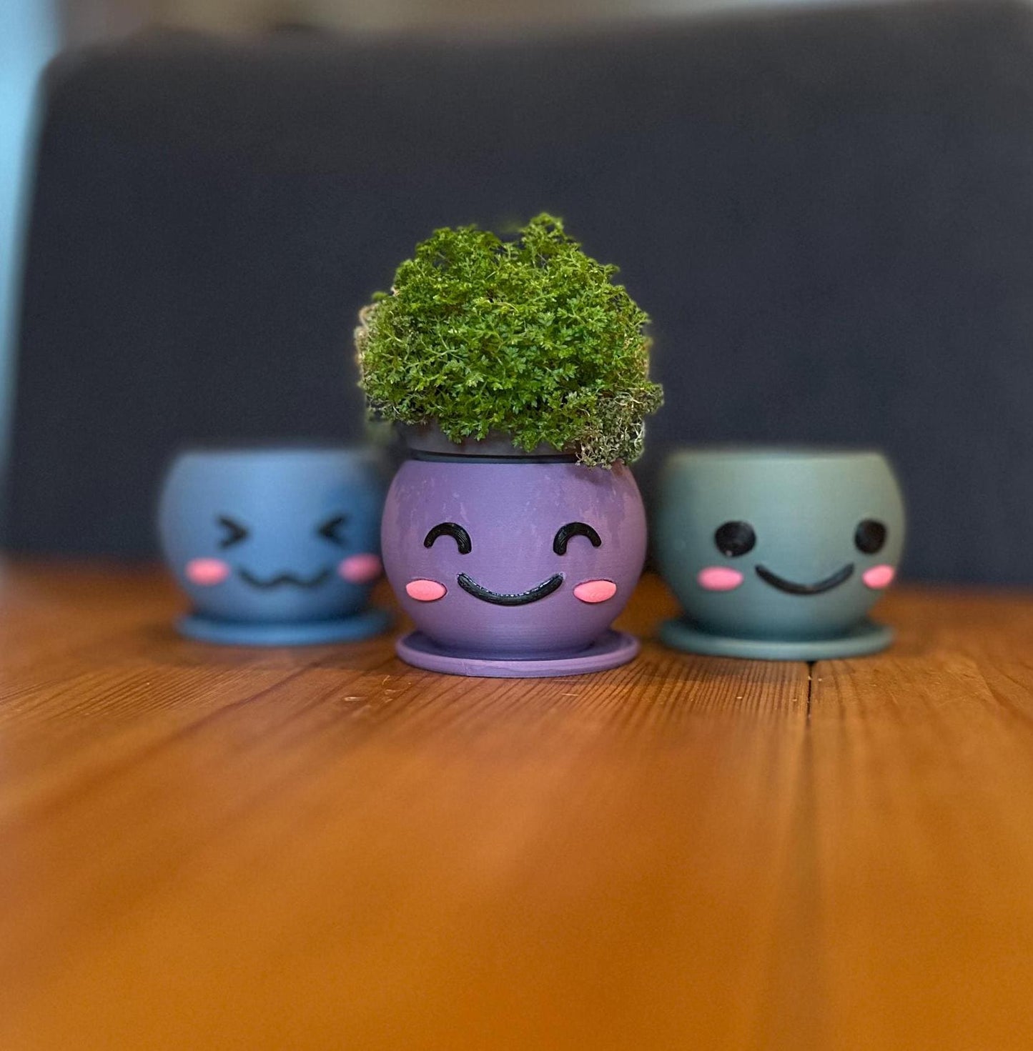 Kawaii 3D Printed Planters Set β Cute Smiling Succulent Pots in 3 Sizes