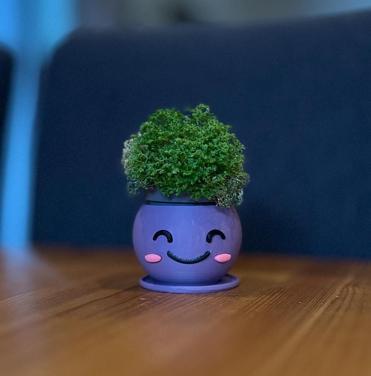 Kawaii 3D Printed Planters Set β Cute Smiling Succulent Pots in 3 Sizes