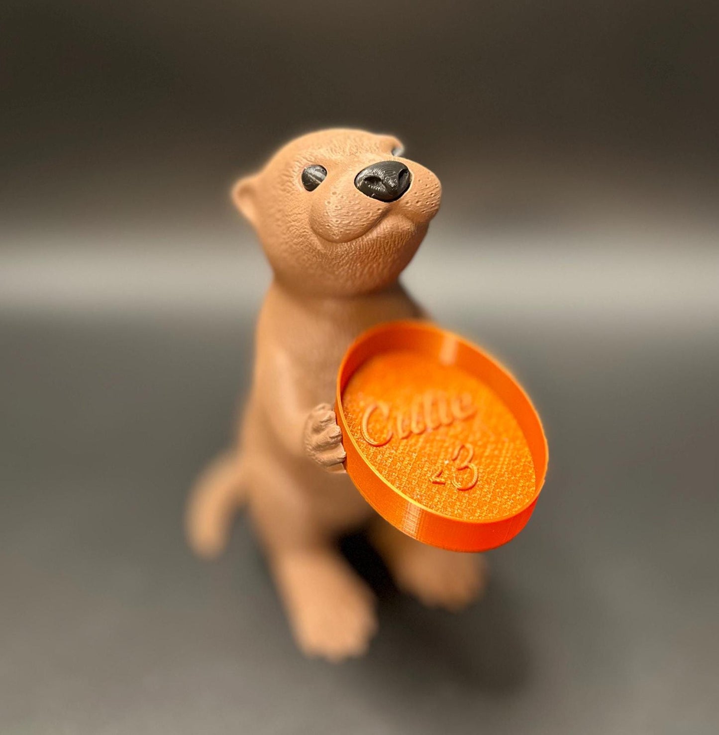Copper dish
A cute otter-shaped jewelry holder with a trinket dish, available in multiple colors for added charm.