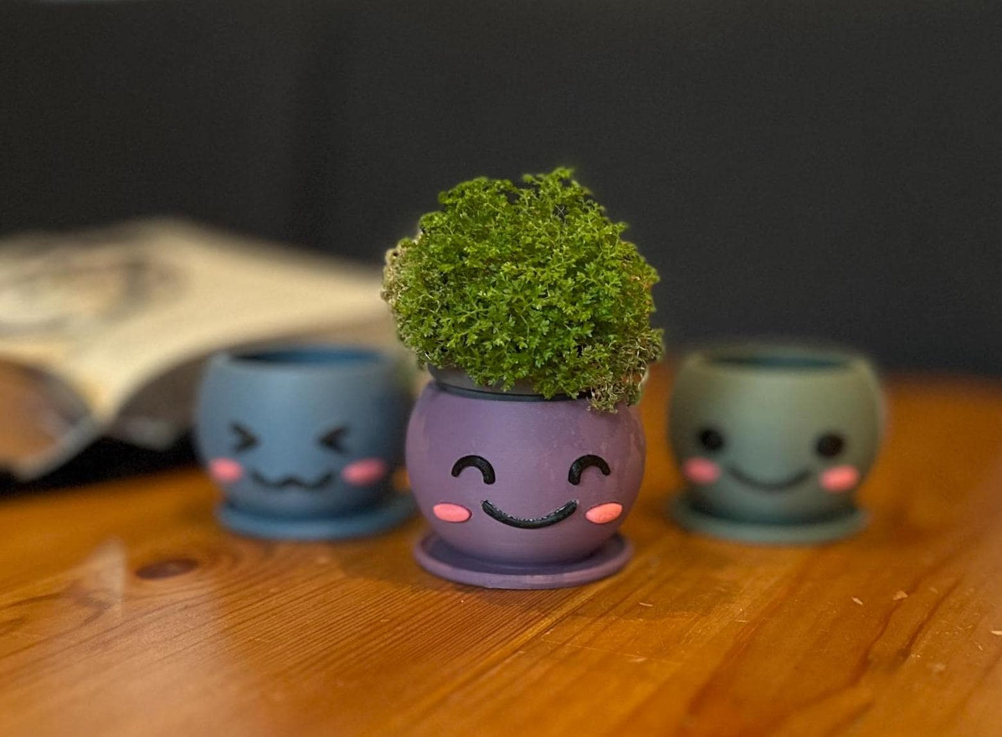 Kawaii 3D Printed Planters Set β Cute Smiling Succulent Pots in 3 Sizes