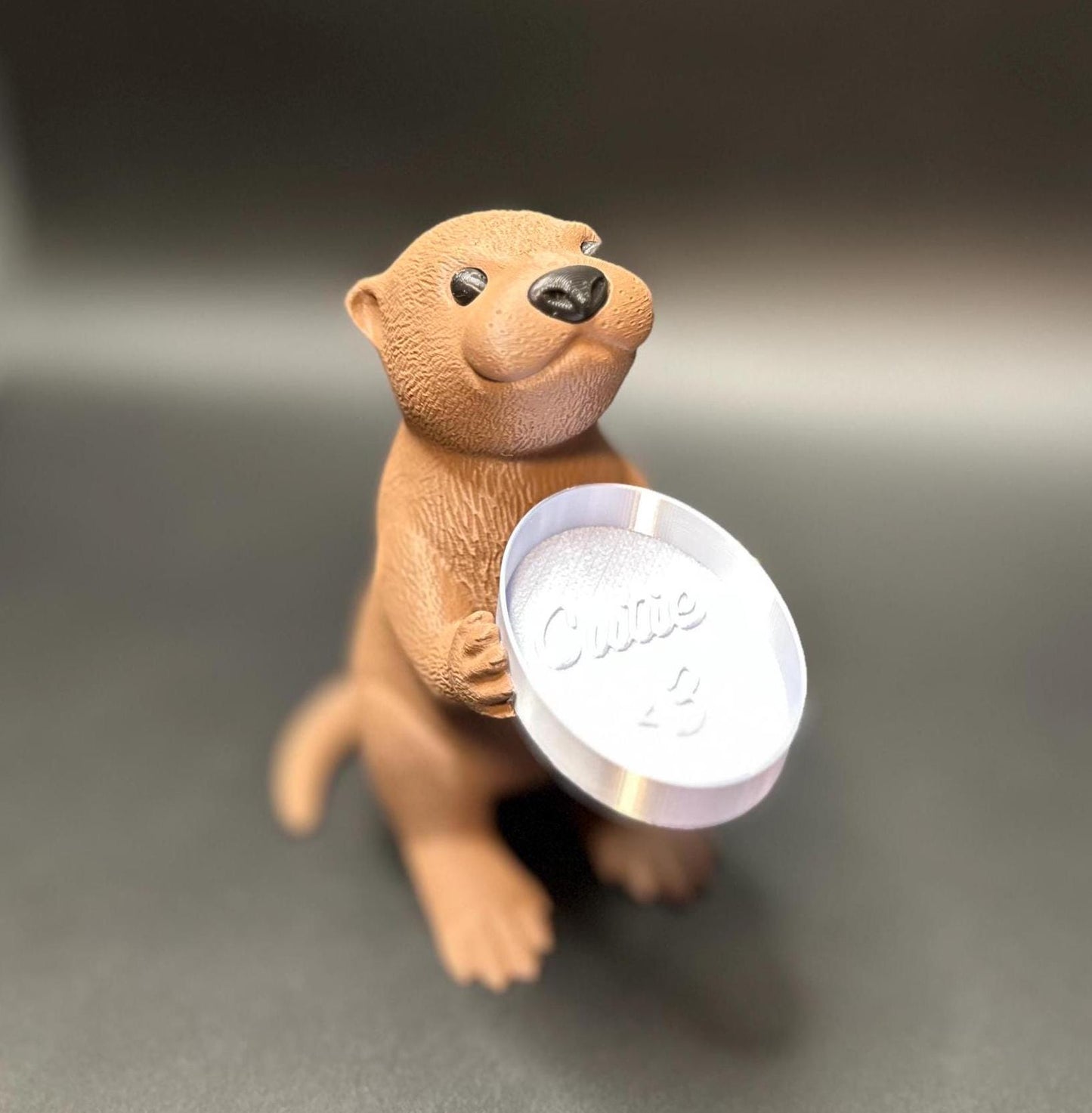 Silver dish
A cute otter-shaped jewelry holder with a trinket dish, available in multiple colors for added charm.