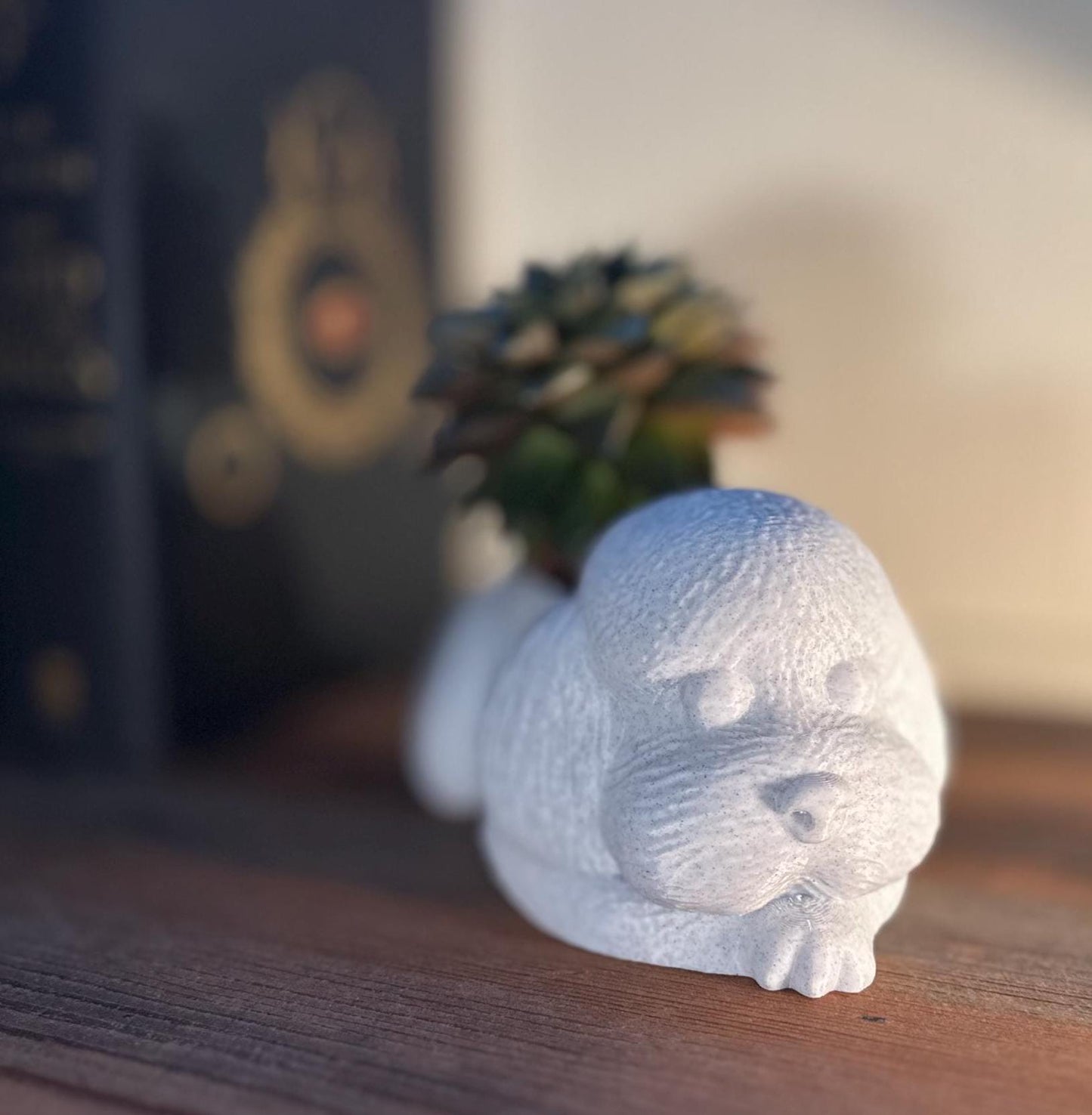 Cute 3D-printed poodle planter for succulents or small plants. Available in six colors: black, chocolate brown, beige, white, gray, and marble.