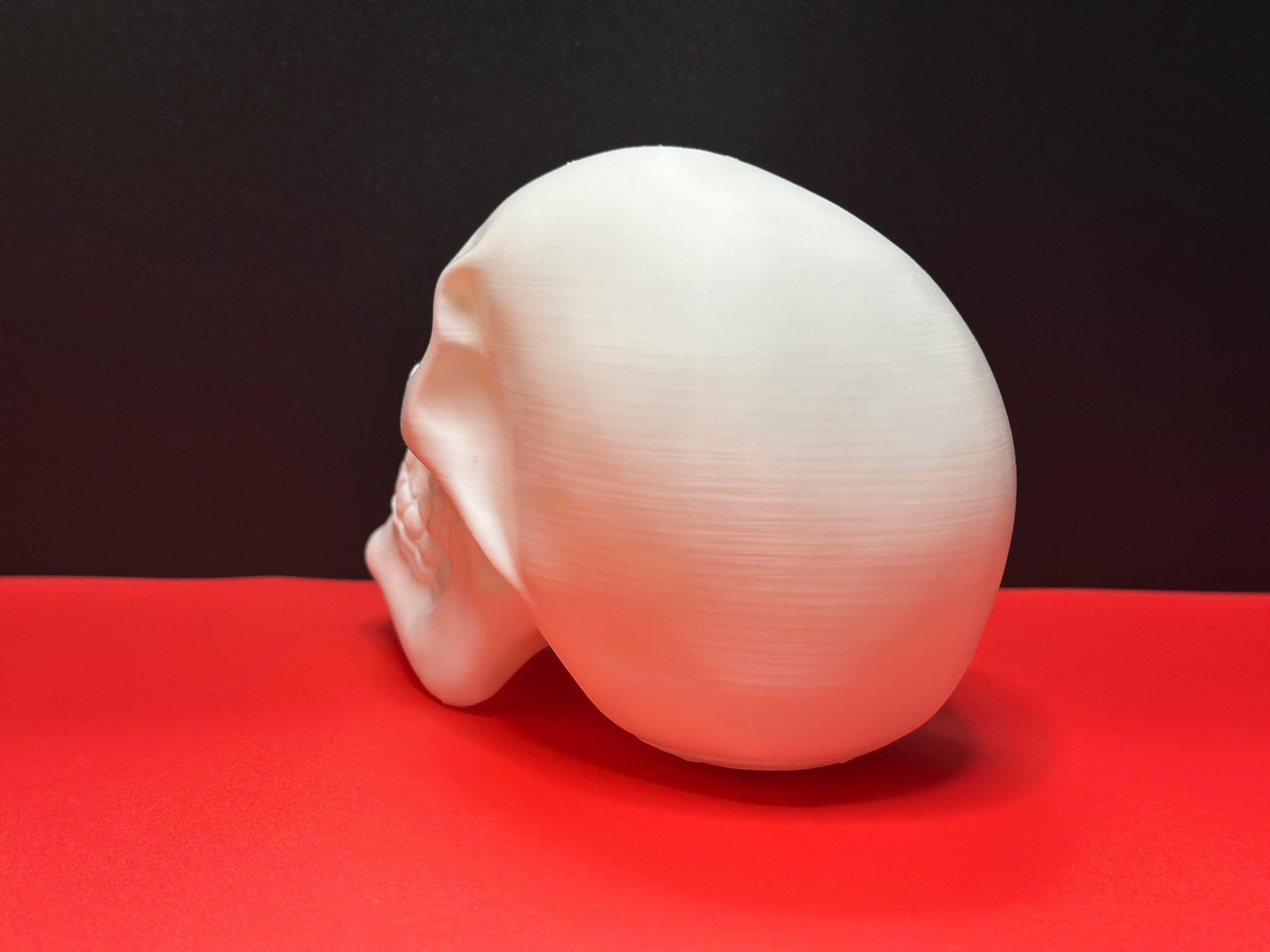 Skull rear diagonal